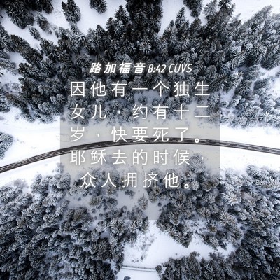Picture 04 - 路 加 福 音 8:42 CUVS - 因 他 有 一 个 独 生 女 儿 ， 约 有 - Bible Verse Picture