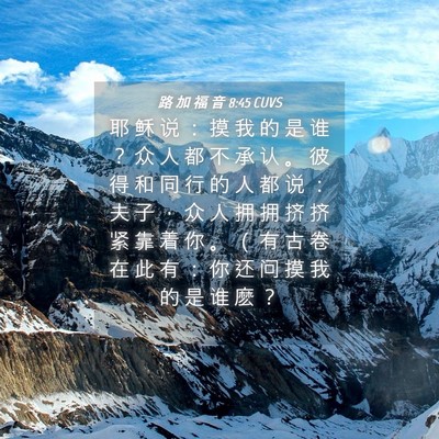 Picture 04 - 路 加 福 音 8:45 CUVS - 耶 稣 说 ： 摸 我 的 是 谁 ？ 众 人 - Bible Verse Picture