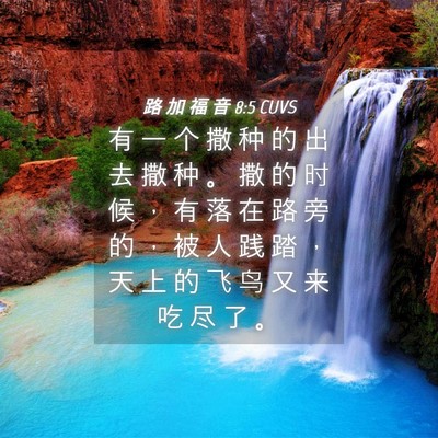 Picture 04 - 路 加 福 音 8:5 CUVS - 有 一 个 撒 种 的 出 去 撒 种 。 撒 - Bible Verse Picture