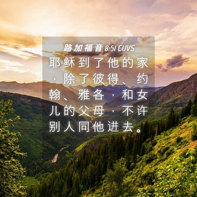 Picture 04 - 路 加 福 音 8:51 CUVS - 耶 稣 到 了 他 的 家 ， 除 了 彼 得 - Bible Verse Picture