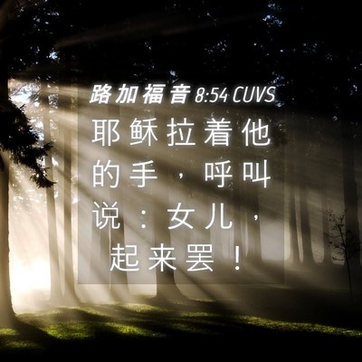 Picture 04 - 路 加 福 音 8:54 CUVS - 耶 稣 拉 着 他 的 手 ， 呼 叫 说 ： - Bible Verse Picture