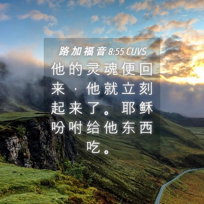Picture 04 - 路 加 福 音 8:55 CUVS - 他 的 灵 魂 便 回 来 ， 他 就 立 刻 - Bible Verse Picture