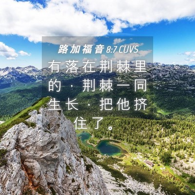 Picture 04 - 路 加 福 音 8:7 CUVS - 有 落 在 荆 棘 里 的 ， 荆 棘 一 同 - Bible Verse Picture