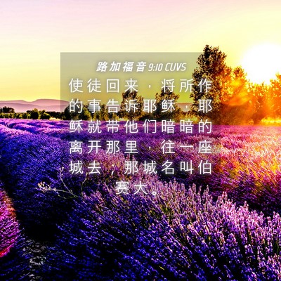 Picture 04 - 路 加 福 音 9:10 CUVS - 使 徒 回 来 ， 将 所 作 的 事 告 诉 - Bible Verse Picture