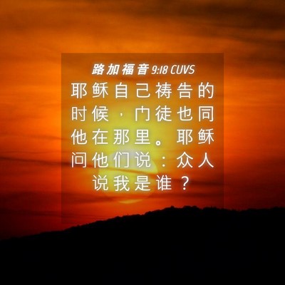 Picture 04 - 路 加 福 音 9:18 CUVS - 耶 稣 自 己 祷 告 的 时 候 ， 门 徒 - Bible Verse Picture