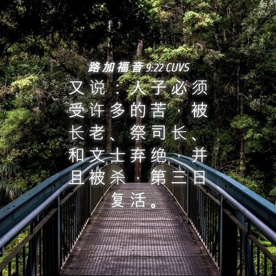 Picture 04 - 路 加 福 音 9:22 CUVS - 又 说 ： 人 子 必 须 受 许 多 的 苦 - Bible Verse Picture