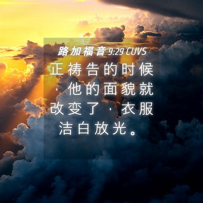 Picture 04 - 路 加 福 音 9:29 CUVS - 正 祷 告 的 时 候 ， 他 的 面 貌 就 - Bible Verse Picture