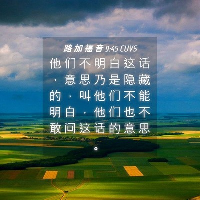 Picture 04 - 路 加 福 音 9:45 CUVS - 他 们 不 明 白 这 话 ， 意 思 乃 是 - Bible Verse Picture