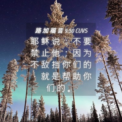Picture 04 - 路 加 福 音 9:50 CUVS - 耶 稣 说 ： 不 要 禁 止 他 ； 因 为 - Bible Verse Picture