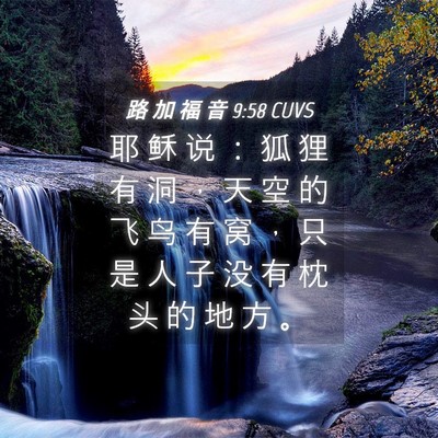 Picture 04 - 路 加 福 音 9:58 CUVS - 耶 稣 说 ： 狐 狸 有 洞 ， 天 空 的 - Bible Verse Picture