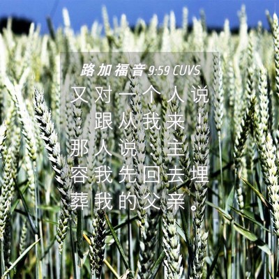Picture 04 - 路 加 福 音 9:59 CUVS - 又 对 一 个 人 说 ： 跟 从 我 来 ！ - Bible Verse Picture