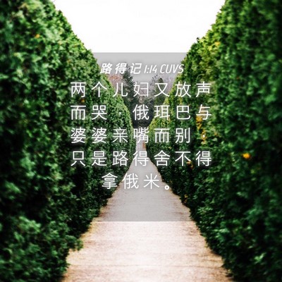Picture 04 - 路 得 记 1:14 CUVS - 两 个 儿 妇 又 放 声 而 哭 ， 俄 珥 - Bible Verse Picture