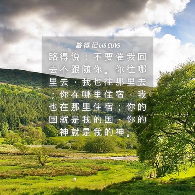 Picture 04 - 路 得 记 1:16 CUVS - 路 得 说 ： 不 要 催 我 回 去 不 跟 - Bible Verse Picture