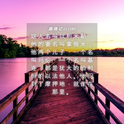Picture 04 - 路 得 记 1:2 CUVS - 这 人 名 叫 以 利 米 勒 ， 他 的 妻 - Bible Verse Picture
