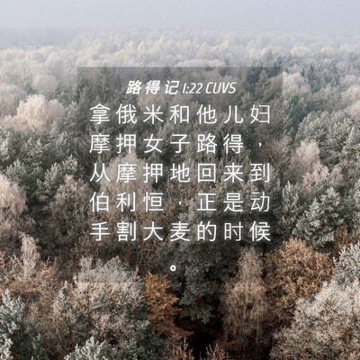 Picture 04 - 路 得 记 1:22 CUVS - 拿 俄 米 和 他 儿 妇 摩 押 女 子 路 - Bible Verse Picture