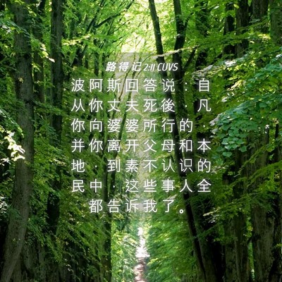 Picture 04 - 路 得 记 2:11 CUVS - 波 阿 斯 回 答 说 ： 自 从 你 丈 夫 - Bible Verse Picture