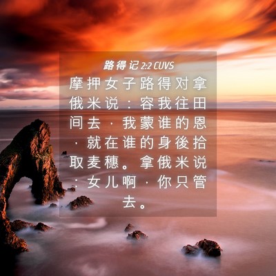 Picture 04 - 路 得 记 2:2 CUVS - 摩 押 女 子 路 得 对 拿 俄 米 说 ： - Bible Verse Picture