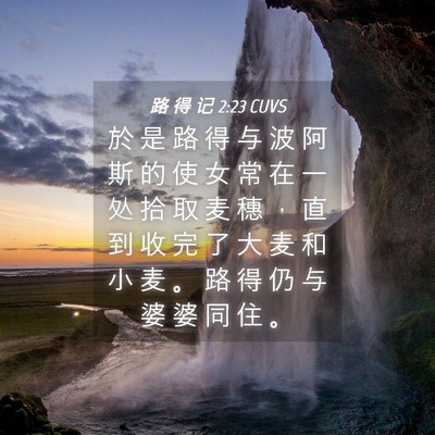 Picture 04 - 路 得 记 2:23 CUVS - 於 是 路 得 与 波 阿 斯 的 使 女 常 - Bible Verse Picture