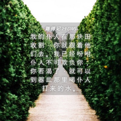 Picture 04 - 路 得 记 2:9 CUVS - 我 的 仆 人 在 那 块 田 收 割 ， 你 - Bible Verse Picture