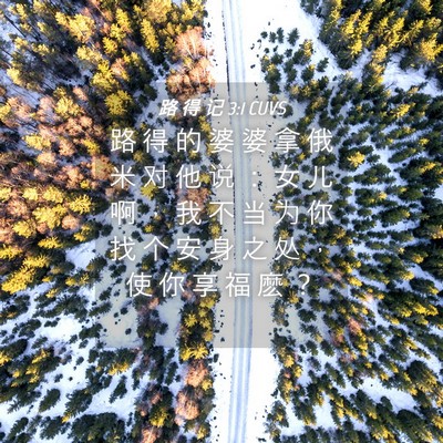 Picture 04 - 路 得 记 3:1 CUVS - 路 得 的 婆 婆 拿 俄 米 对 他 说 ： - Bible Verse Picture