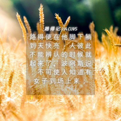 Picture 04 - 路 得 记 3:14 CUVS - 路 得 便 在 他 脚 下 躺 到 天 快 亮 - Bible Verse Picture