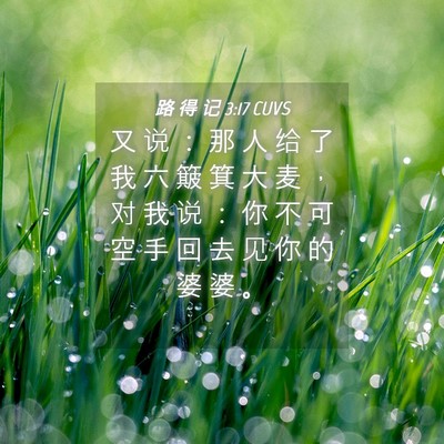 Picture 04 - 路 得 记 3:17 CUVS - 又 说 ： 那 人 给 了 我 六 簸 箕 大 - Bible Verse Picture