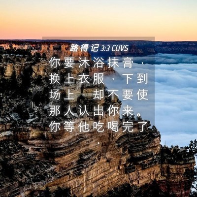 Picture 04 - 路 得 记 3:3 CUVS - 你 要 沐 浴 抹 膏 ， 换 上 衣 服 ， - Bible Verse Picture