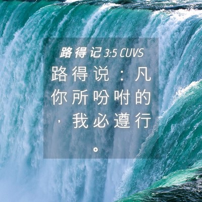 Picture 04 - 路 得 记 3:5 CUVS - 路 得 说 ： 凡 你 所 吩 咐 的 ， 我 - Bible Verse Picture