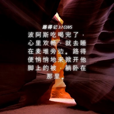 Picture 04 - 路 得 记 3:7 CUVS - 波 阿 斯 吃 喝 完 了 ， 心 里 欢 畅 - Bible Verse Picture
