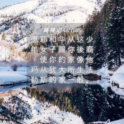 Picture 04 - 路 得 记 4:12 CUVS - 愿 耶 和 华 从 这 少 年 女 子 赐 你 - Bible Verse Picture