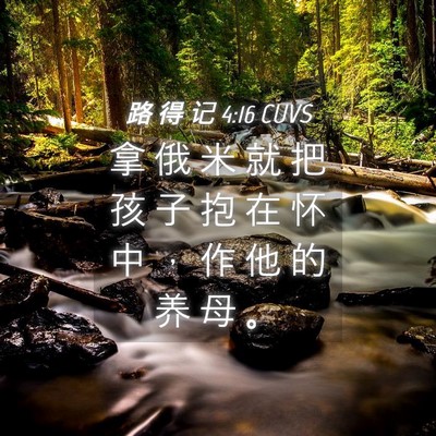 Picture 04 - 路 得 记 4:16 CUVS - 拿 俄 米 就 把 孩 子 抱 在 怀 中 ， - Bible Verse Picture