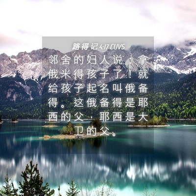Picture 04 - 路 得 记 4:17 CUVS - 邻 舍 的 妇 人 说 ： 拿 俄 米 得 孩 - Bible Verse Picture