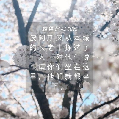 Picture 04 - 路 得 记 4:2 CUVS - 波 阿 斯 又 从 本 城 的 长 老 中 拣 - Bible Verse Picture