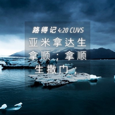Picture 04 - 路 得 记 4:20 CUVS - 亚 米 拿 达 生 拿 顺 ； 拿 顺 生 撒 - Bible Verse Picture