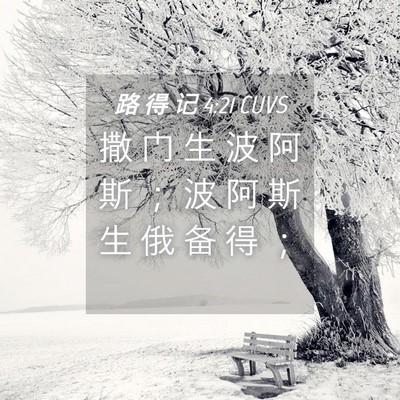 Picture 04 - 路 得 记 4:21 CUVS - 撒 门 生 波 阿 斯 ； 波 阿 斯 生 俄 - Bible Verse Picture