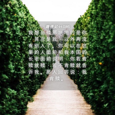 Picture 04 - 路 得 记 4:4 CUVS - 我 想 当 赎 那 块 地 的 是 你 ， 其 - Bible Verse Picture