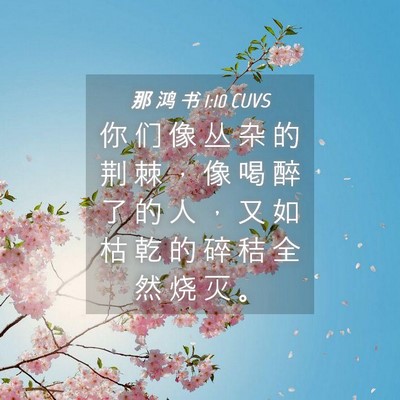 Picture 04 - 那 鸿 书 1:10 CUVS - 你 们 像 丛 杂 的 荆 棘 ， 像 喝 醉 - Bible Verse Picture