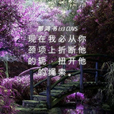 Picture 04 - 那 鸿 书 1:13 CUVS - 现 在 我 必 从 你 颈 项 上 折 断 他 - Bible Verse Picture