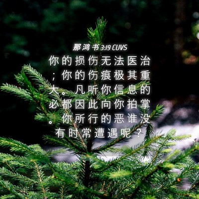 Picture 04 - 那 鸿 书 3:19 CUVS - 你 的 损 伤 无 法 医 治 ； 你 的 伤 - Bible Verse Picture