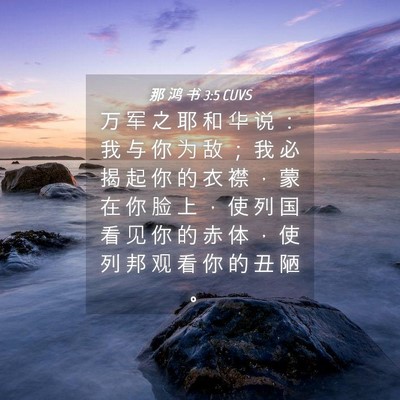 Picture 04 - 那 鸿 书 3:5 CUVS - 万 军 之 耶 和 华 说 ： 我 与 你 为 - Bible Verse Picture