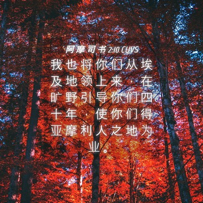Picture 04 - 阿 摩 司 书 2:10 CUVS - 我 也 将 你 们 从 埃 及 地 领 上 来 - Bible Verse Picture