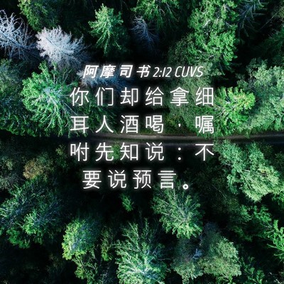 Picture 04 - 阿 摩 司 书 2:12 CUVS - 你 们 却 给 拿 细 耳 人 酒 喝 ， 嘱 - Bible Verse Picture