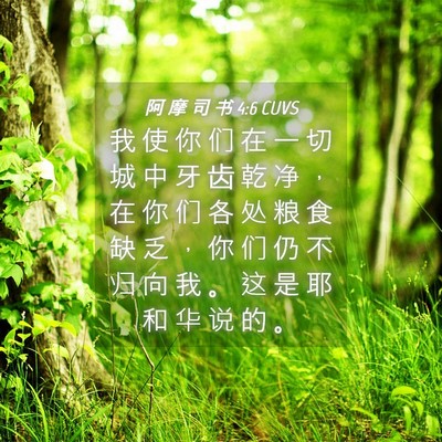 Picture 04 - 阿 摩 司 书 4:6 CUVS - 我 使 你 们 在 一 切 城 中 牙 齿 乾 - Bible Verse Picture