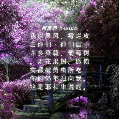 Picture 04 - 阿 摩 司 书 4:9 CUVS - 我 以 旱 风 、 霉 烂 攻 击 你 们 ， - Bible Verse Picture