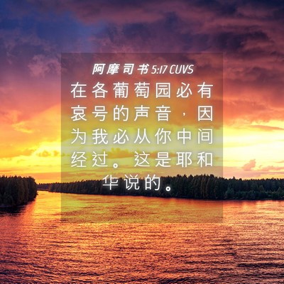 Picture 04 - 阿 摩 司 书 5:17 CUVS - 在 各 葡 萄 园 必 有 哀 号 的 声 音 - Bible Verse Picture