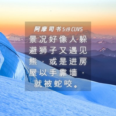 Picture 04 - 阿 摩 司 书 5:19 CUVS - 景 况 好 像 人 躲 避 狮 子 又 遇 见 - Bible Verse Picture