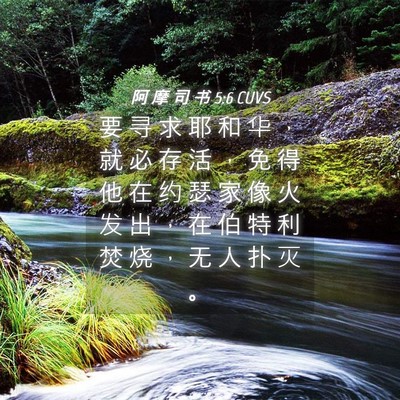Picture 04 - 阿 摩 司 书 5:6 CUVS - 要 寻 求 耶 和 华 ， 就 必 存 活 ， - Bible Verse Picture