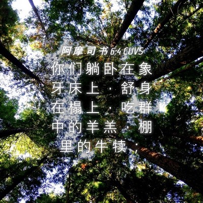 Picture 04 - 阿 摩 司 书 6:4 CUVS - 你 们 躺 卧 在 象 牙 床 上 ， 舒 身 - Bible Verse Picture