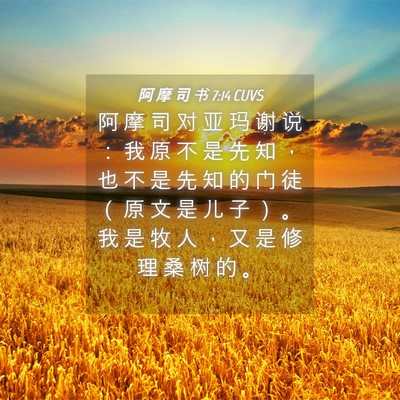 Picture 04 - 阿 摩 司 书 7:14 CUVS - 阿 摩 司 对 亚 玛 谢 说 ： 我 原 不 - Bible Verse Picture
