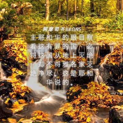 Picture 04 - 阿 摩 司 书 9:8 CUVS - 主 耶 和 华 的 眼 目 察 看 这 有 罪 - Bible Verse Picture